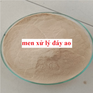 Men vi sinh xử lý ao bạt, gây màu nước.