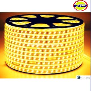 Dây đèn led 2 hàng đôi siêu sáng 5730 ( Chống nước IP 65 chuyên trang trí ngoài trời )
