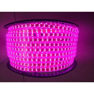 Dây đèn led 2 hàng đôi siêu sáng 5730 ( Chống nước IP 65 chuyên trang trí ngoài trời )