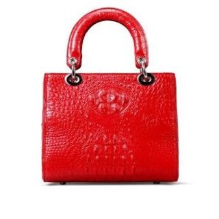 Túi xách đì ô TL7