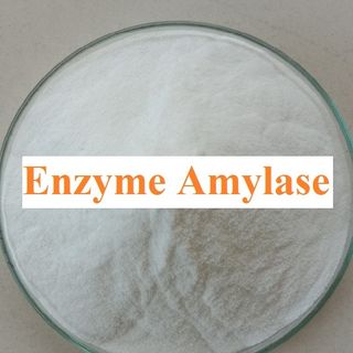 Men vi sinh, enzyme. nguyên liệu giá nhà máy.