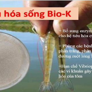 Men vi sinh tiêu hóa thủy sản, hỗ trợ tiêu hóa, giúp tôm hấp thụ thức ăn nhanh