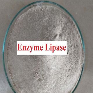 Men vi sinh, enzyme. nguyên liệu giá nhà máy.