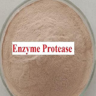 Men vi sinh, enzyme. nguyên liệu giá nhà máy.