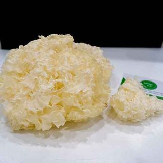 nấm tuyết