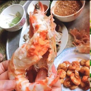 Tôm vằn biển Bạch Long Vỹ