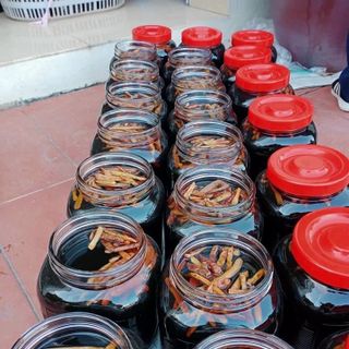 Mắm chắt sá sùng