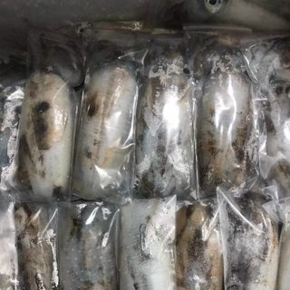 Mực lá câu size 0,8-1,3kg/con