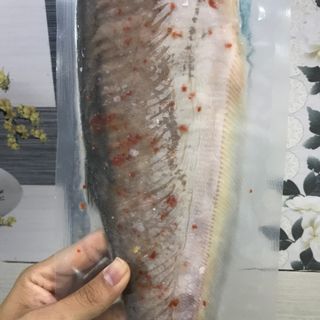 CÁ THÁT LÁT RÚT XƯƠNG