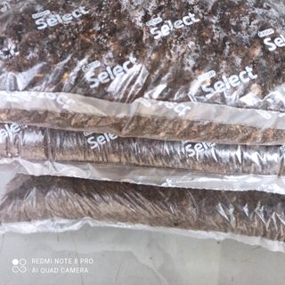 PHÂN BÓN CAO CẤP DÙNG 1 LẦN TỐT CẢ NĂM