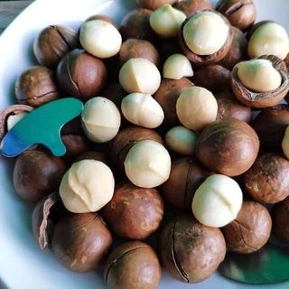 MACCA TÂY NGUYÊN SẤY NỨT