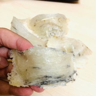 Yến nhà nuôi nguyên chất