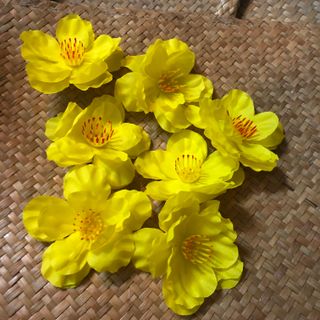 Hoa mai trang trí tết hoa to đẹp giá bán 1 kg giá sỉ