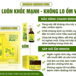DẦU HÚNG CHANH MINION
