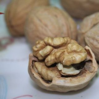 Quả óc chó