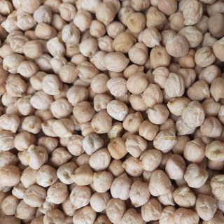 Đậu gà trắng Nam Mỹ