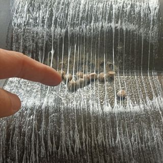 Keo dính chuột Đại Lộc