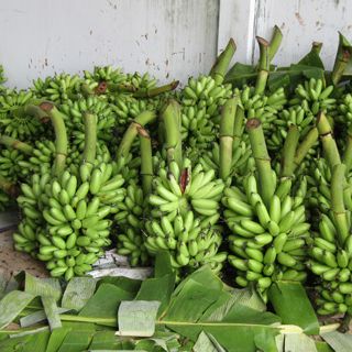Chuối Cau