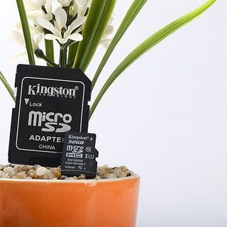 Thẻ Nhớ 32 Gb, Thẻ Nhớ Micro SDHC 32GB Class 10 - 32Gb