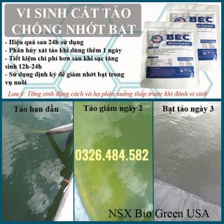 Vi sinh cắt tảo độc ,giảm nhớt bạt ao nuôi tôm # vi sinh BEC 227g