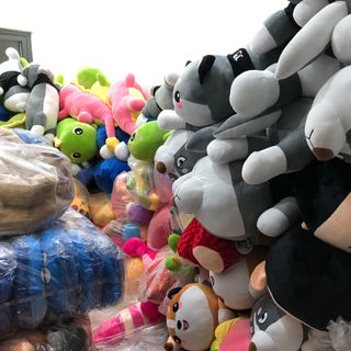Chó Ngao 60cm