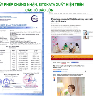 Bột cần tây Sitokata F99