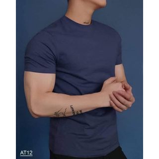 Áo thun nam cổ tròn Cao Cấp vải Cotton co giãn,dày dặn, form regular fit B01