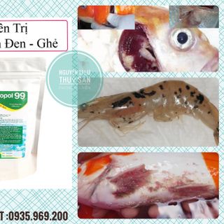 Chất diệt nấm - ghẻ - xuất huyết trên cá/tôm #bronopol 99% 1kg