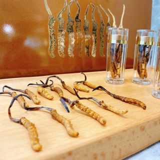 Đông trùng hạ thảo Tây Tạng nguyên con khô - Hàng đầy đủ chứng từ & HSCB