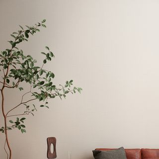 Giấy dán tường Sangetsu Nhật Bản