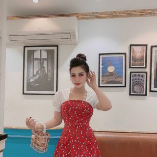 Đầm hoa phối tay bo QC