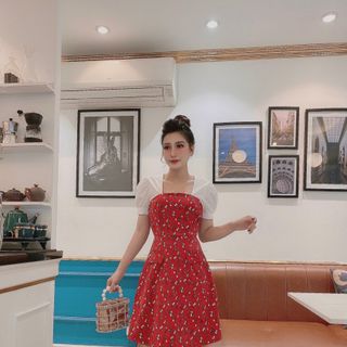 Đầm hoa phối tay bo QC