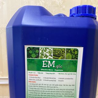 Em Gốc men vi sinh