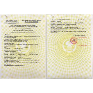 Kem Body Phân Tử Nước Minh Lady Beauty 200gr