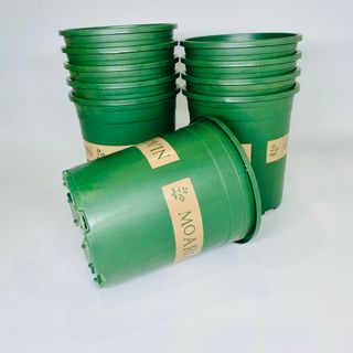 Chậu trồng hoa Monrovia Phong cách Châu Âu 2 GL