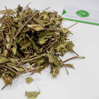 Dây thìa canh