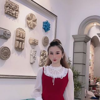 Đầm nhung xòe cổ bèo
