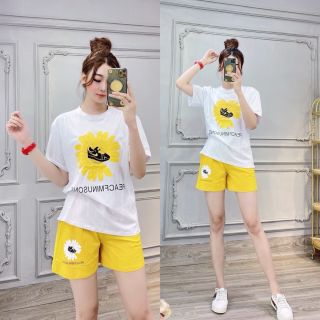 [ SỈ ] Sét Bộ Đùi Hot Trend In Dép Đạp hoa Cúc Siêu Cute giá sỉ