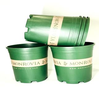 Chậu trồng hoa , cây cảnh phong cách Châu Âu cỡ lớn