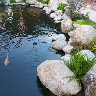 [ ] Sơn chống thấm hồ cá koi/chống thấm màu đen flinkote/chống thấm bể nước/ chống thấm đa năng Tường- sàn- hồ 3lít