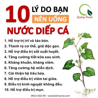 Bột Diếp Cá Quảng Thanh 50g