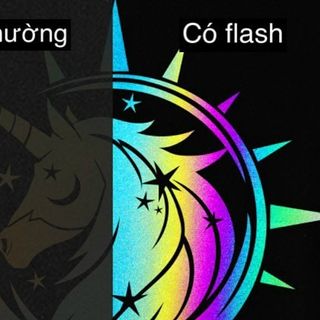 Áo khoác phản quang 7 màu in con kỳ lân