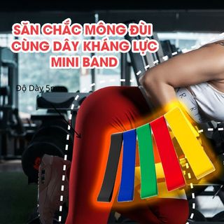 Bộ 5 Dây Mini band, Dây Cao Su Miniband, Dây Kháng Lực Tập Chân Mông, Phụ Kiện Tập Gym