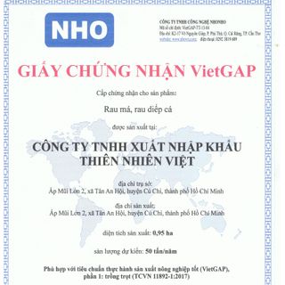 Bột Rau Má Quảng Thanh 50g