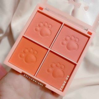 Phấn má hồng 4ô AndyLady Meow no.813