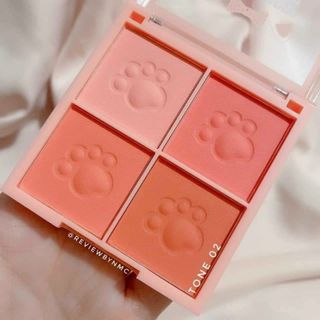 Phấn má hồng 4ô AndyLady Meow no.813