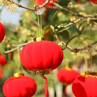 Lồng đèn đường kính 5cm