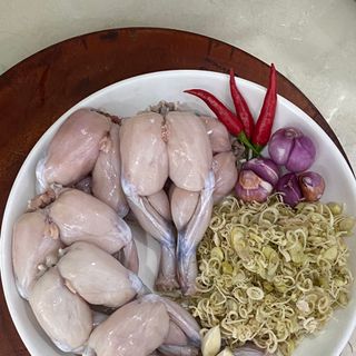 ĐÙI ẾCH ĐÔNG LẠNH GIÁ TỐT NHẤT THỊ TRƯỜNG