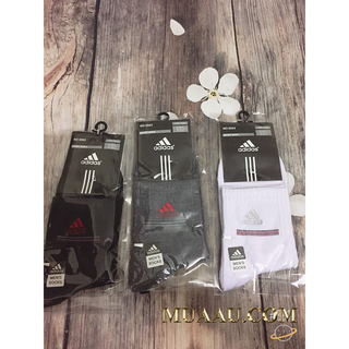 Tất Cổ Cao Hàng Siêu Đẹp MS: 03