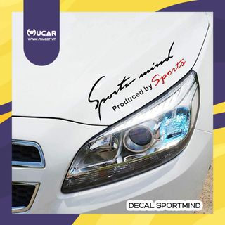 Decal trang trí Sportmind/Baby in car